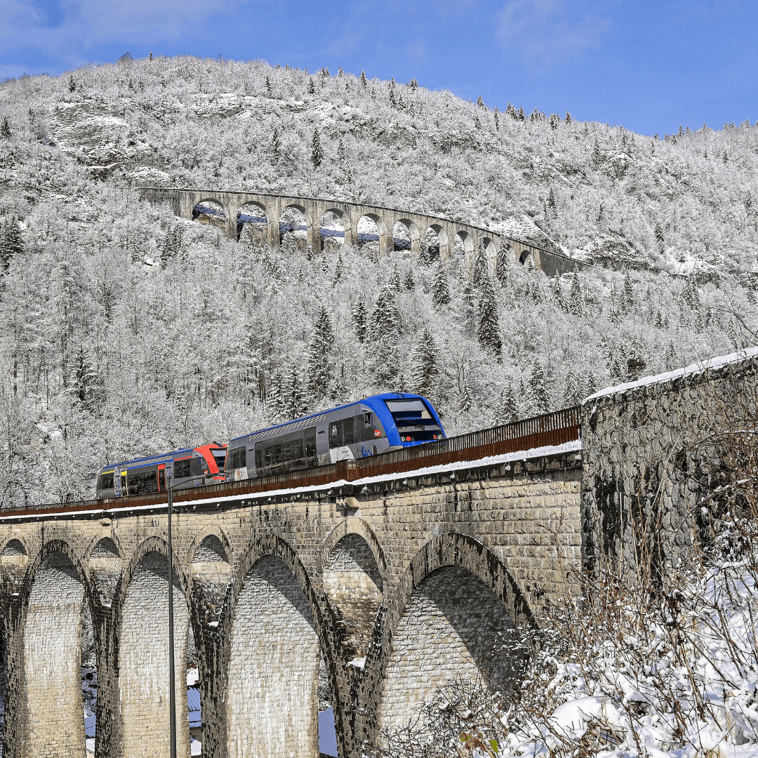 Excursion sur la Ligne des Hirondelles Hiver 2025