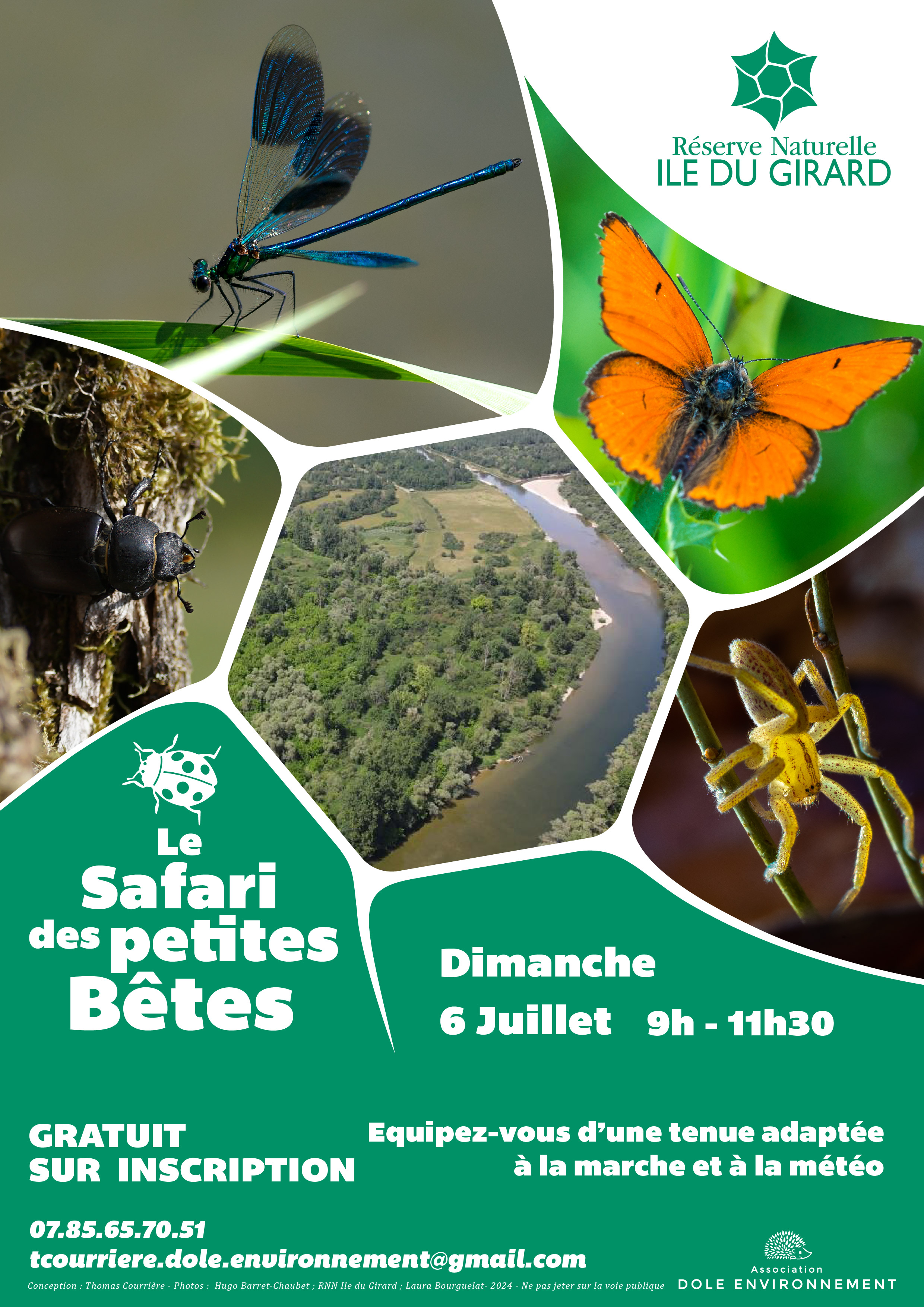 Safari des petites bêtes